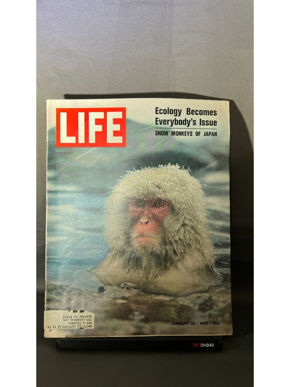 Life Magazine January 30 1970 Snow Monkeys Of Japan Issue